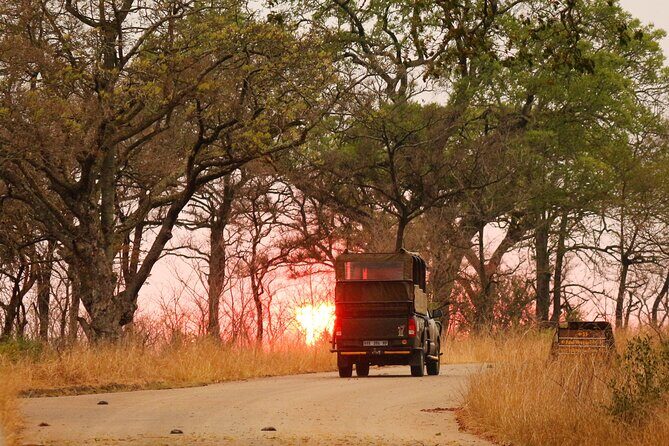 Kruger National Park Full Day Private safari - The Sum Up