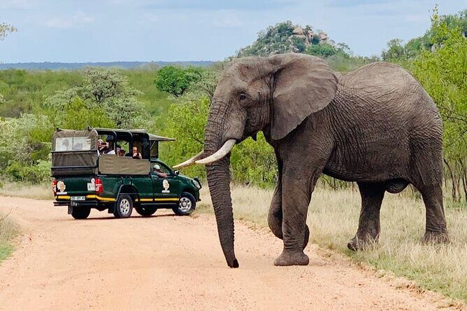 Kruger National Park Full Day Private safari - Frequently Asked Questions