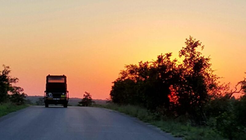 Kruger National Park: Full-Day Private Safari With Pickup - Why Choose a Full-Day Private Safari in Kruger?