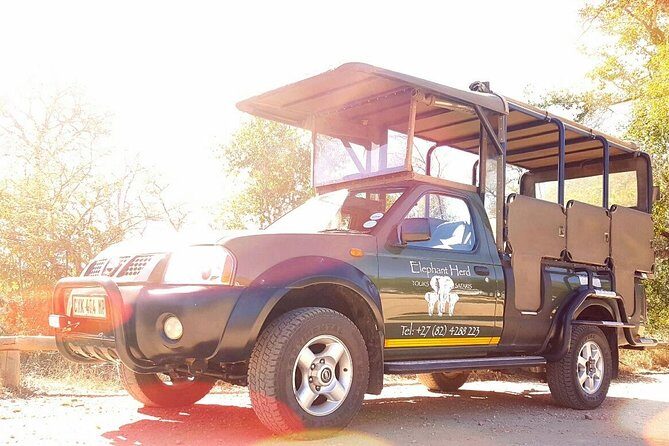 Kruger National Park Full-Day Safari from Hazyview - Key Points