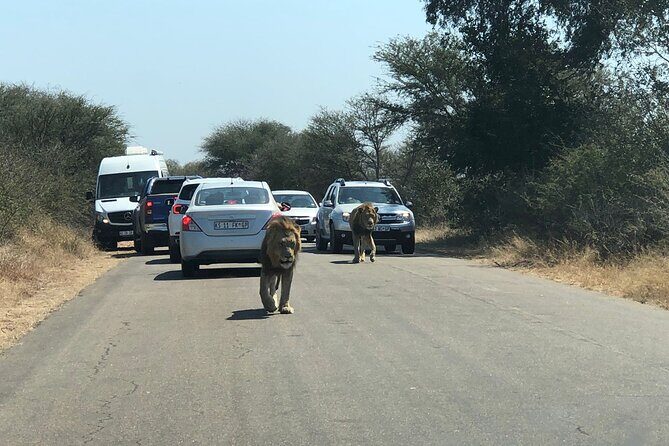 Kruger National Park Full-Day Tour - Practical Details You Need to Know