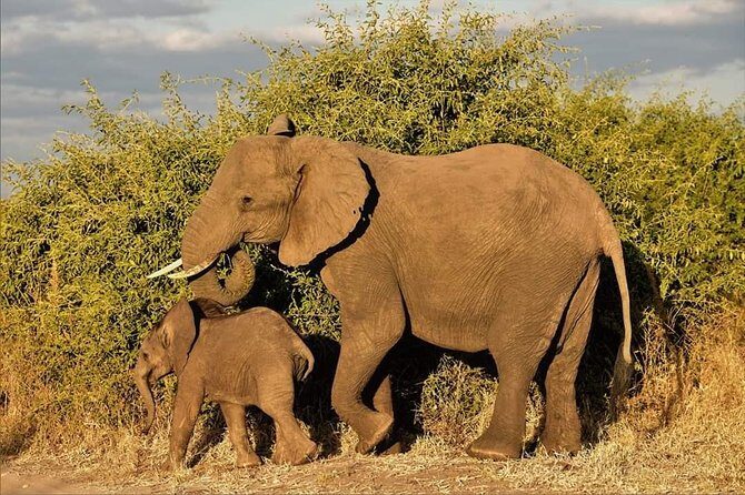 Kruger National Park Full Day Tour Minimum 2people - The Itinerary: What You Can Expect