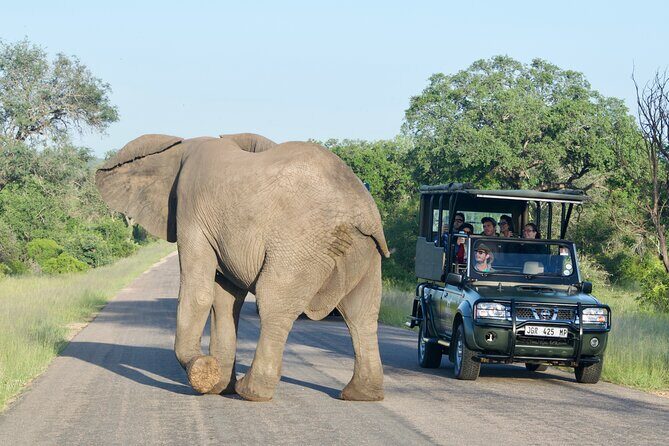 Kruger National Park Guided Day Tour including Hotel Pick-Up and Drop-Off - Frequently Asked Questions