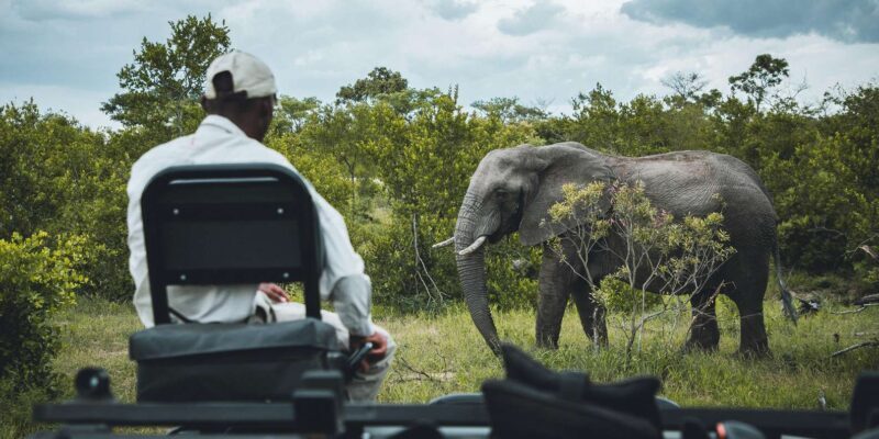 Kruger National Park half day - Who This Tour Is Best For