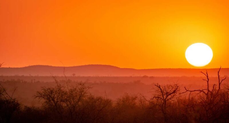 Kruger National Park half day - FAQ