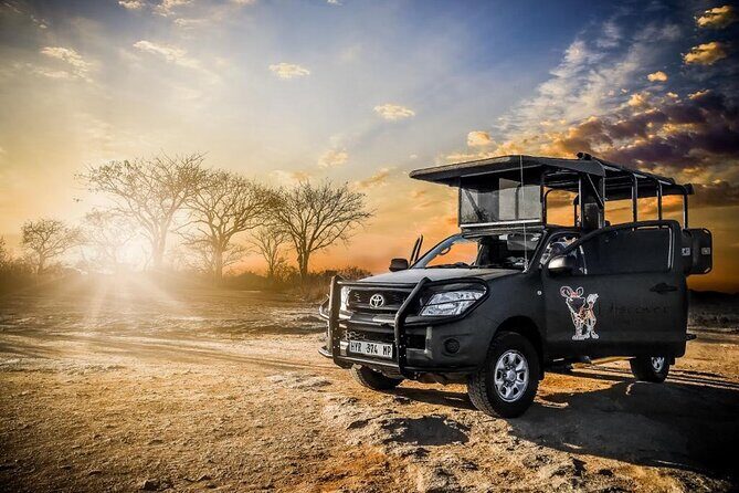 Kruger National Park Morning Game Drive - Why Choose a Morning Game Drive in Kruger?