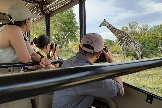 Kruger National Park Morning Safari 2 people minimum - The Itinerary Breakdown: What to Expect