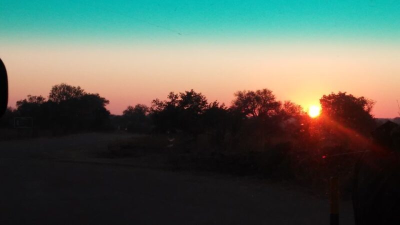 Kruger National Park Morning Safari - Key Points