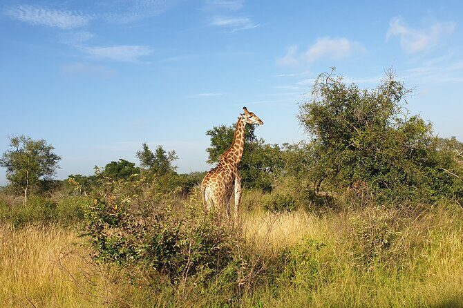 Kruger National Park & Panorama Route From Johannesburg 3 Days & 2 Nights - FAQs
