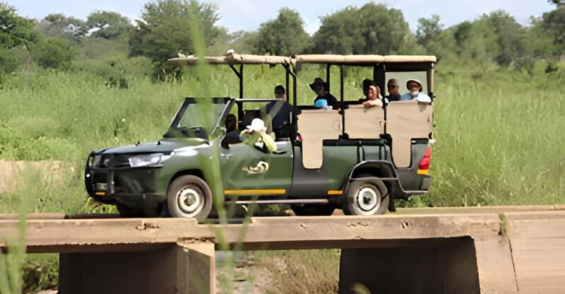 Kruger National Park Safari (Full Day) - The Guide Experience: Knowledge is Key