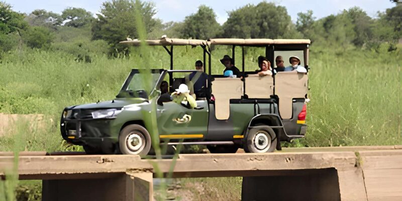Kruger National Park Safari (Full Day) - Why This Tour Is Worth Considering