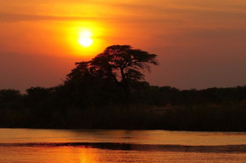 Kruger National Park: Safari & Panorama Route - Exploring the Kruger National Park: Safari & Panorama Route — A Balanced and Authentic Adventure