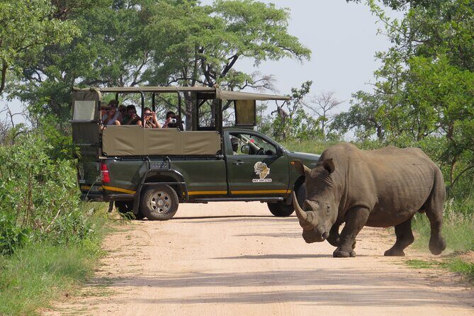 Kruger National Park sunrise Morning Private safari - Key Points