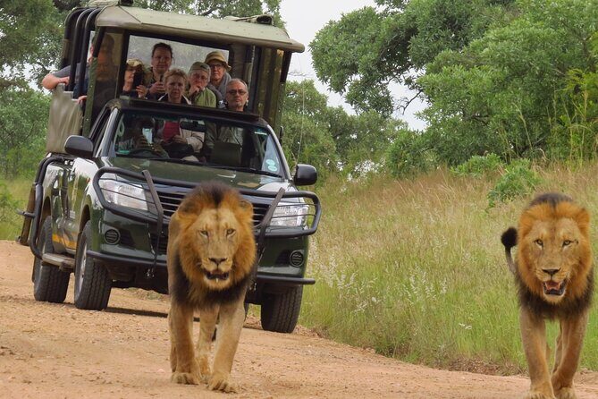 Kruger National Park sunrise Morning Private safari - An In-Depth Look at the Kruger Sunrise Safari Experience