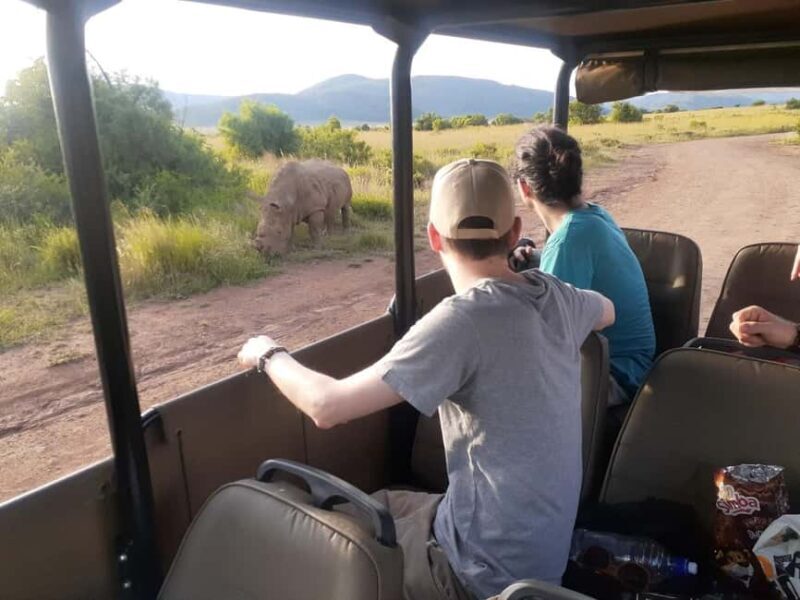 Kruger national park tour 4day-3nights (open safari vehicle) - Who Is This Tour Best For?