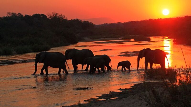 Kruger National Park: Village Tour & Halfday Kruger Safari - An In-Depth Look at the Tour Experience