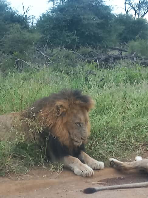 Kruger Overnight Tour: 2 days in an Open Safari Vehicle. - Key Points