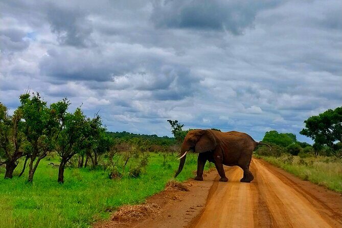 Kruger Park Full Day Guided Safari - Key Points