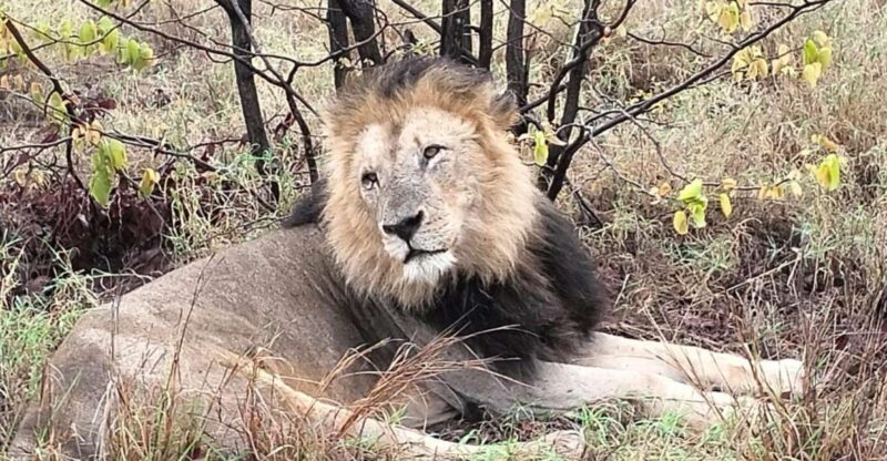 Kruger Park Safari from Maputo - The Riverfront Lunch Break  