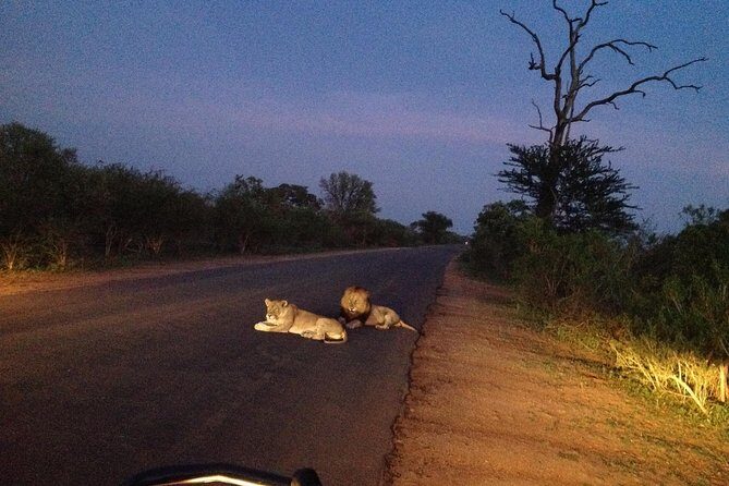 Kruger Park Safari: Guided Day Tour from Nelspruit - Why This Tour Works