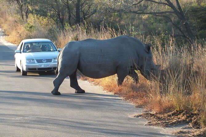 Kruger Park Safari: Guided Day Tour from Nelspruit - FAQs