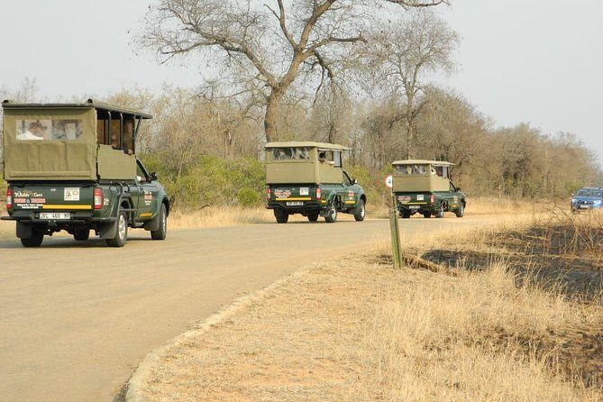 Kruger Park Safari - Half Day Game Drive from Hazyview - An Insider Look at the Half Day Game Drive