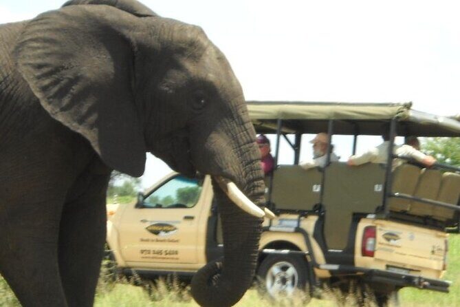 Kruger Park Safari Private Full-Day Tour from Malelane - Key Points