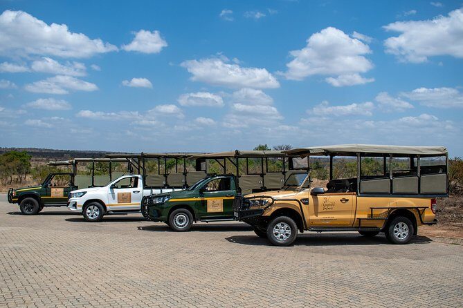 Kruger Safari Tour - Full Day - A Closer Look at the Kruger Safari Tour – Full Day