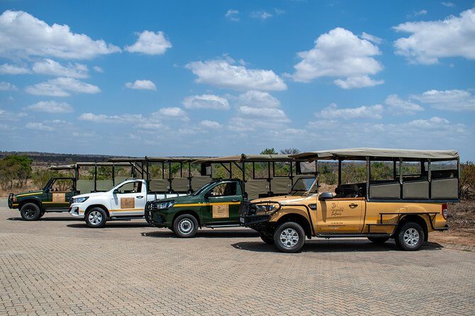 Kruger Safari Tour - Morning Half Day - The Vehicle and Its Benefits  