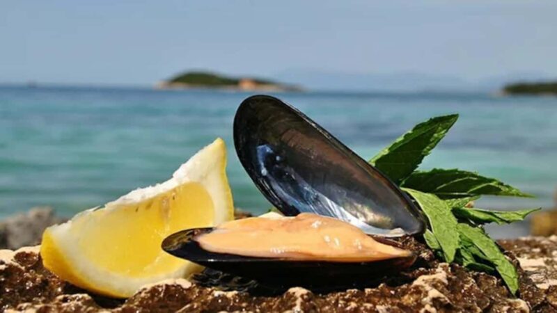 Ksamil Sailing & Mussel Tasting Experience - The Itinerary: What You Can Expect