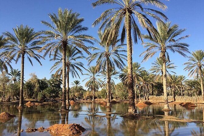 Ksar Ghilaine and Chneni Tataouine 1 day tour in Tunisia - FAQ