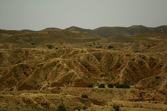 Ksar Ghilane 1 day: The hot spring and the homestay - Exploring Tunisia’s Sahara: A Detailed Review of the Ksar Ghilane 1-Day Tour