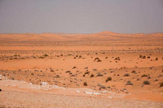 Ksar Ghilane 1 day: The hot spring and the homestay - Key Points