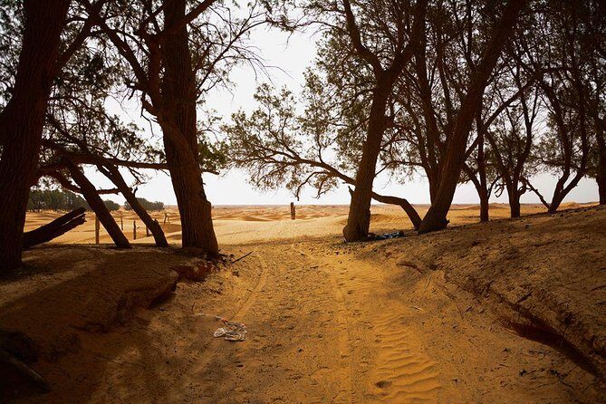 Ksar Ghilane 1 day: The hot spring and the homestay - Optional Activities and Extras