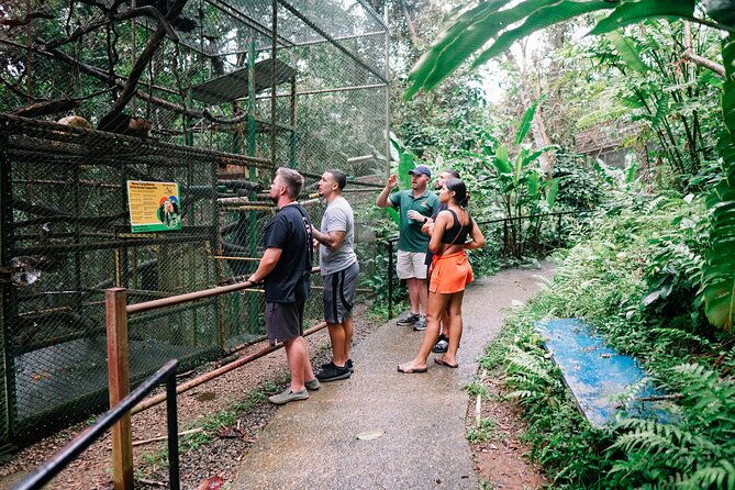 kstr-re-wilding-center-manuel-antonio-sloth-primate-park