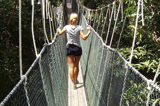 Kuala Besut to Taman Negara One Way SIC Transfers - FAQ