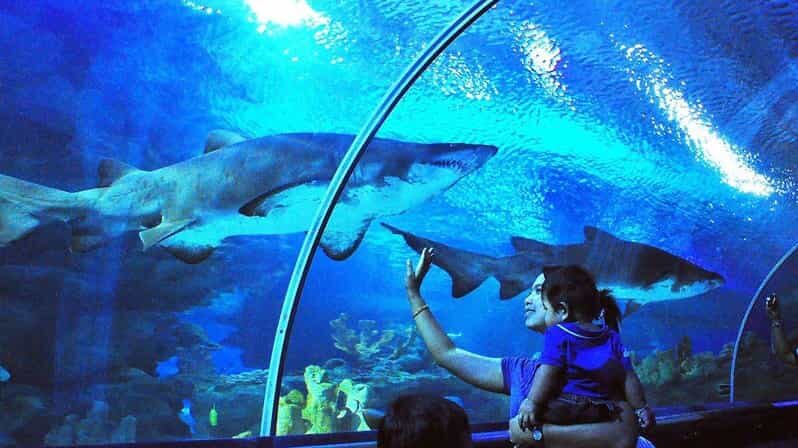 Kuala Lumpur: Aquaria KLCC Entry Ticket - Ticket and Value for Money
