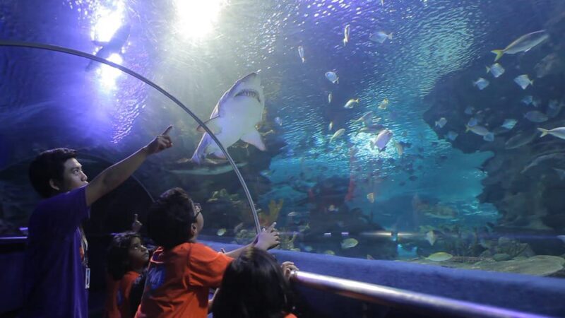 Kuala Lumpur: Aquaria KLCC Entry Ticket - What Do Visitors Love Most?