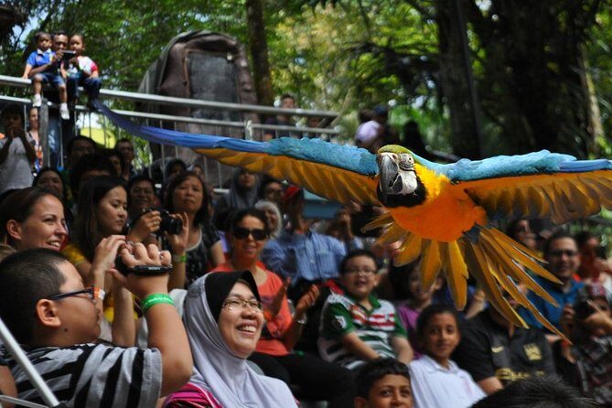 Kuala Lumpur Bird Park Admission Ticket with Private Pickup - A Closer Look at the Tour Itself