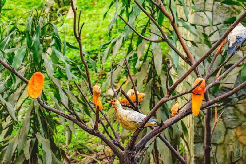 kuala-lumpur-bird-park-day-ticket-1-way-transfer