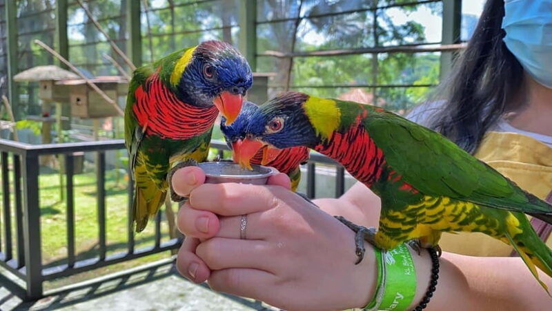 kuala-lumpur-bird-park-day-ticket-1-way-transfer