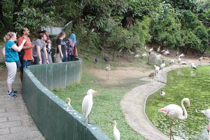 Kuala Lumpur Bird Park With Return Transfers - A Closer Look at the Kuala Lumpur Bird Park Tour
