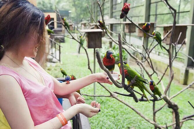 Kuala Lumpur Bird Park With Return Transfers - Frequently Asked Questions
