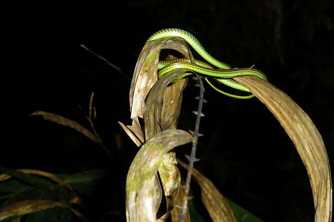 Kuala Lumpur Bus Tour Experience 3 Days - FAQ