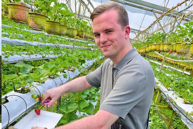 Kuala Lumpur: Cameron Highlands & Batu Caves Private Day Tour - Who Should Book This Tour?