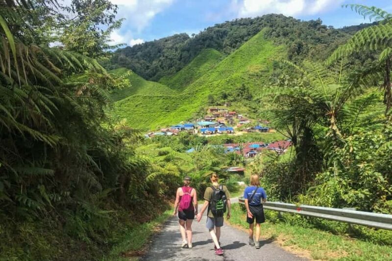 Kuala Lumpur Cameron Highlands & Tea Plantations Scenic Tour - Key Points