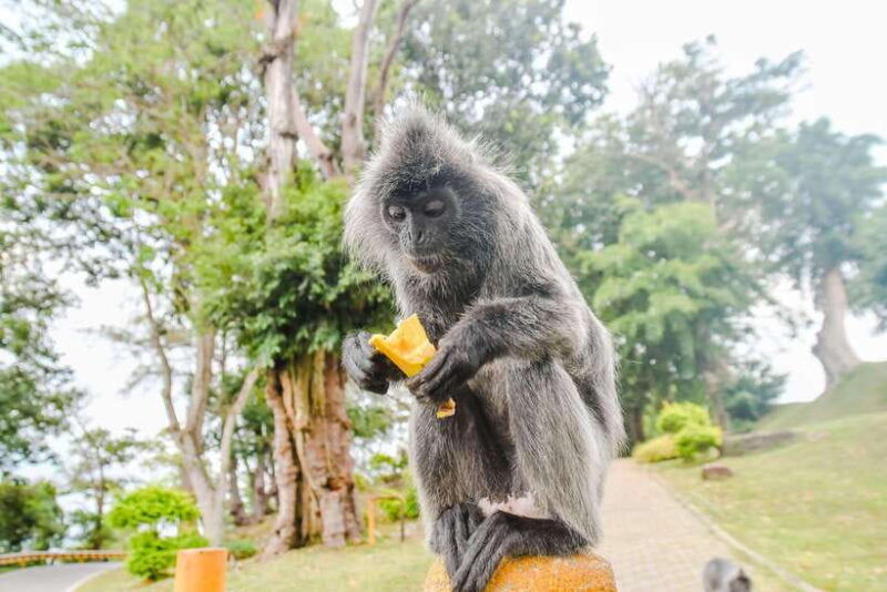 kuala-lumpur-city-sights-batu-caves-and-fireflies-day-trip