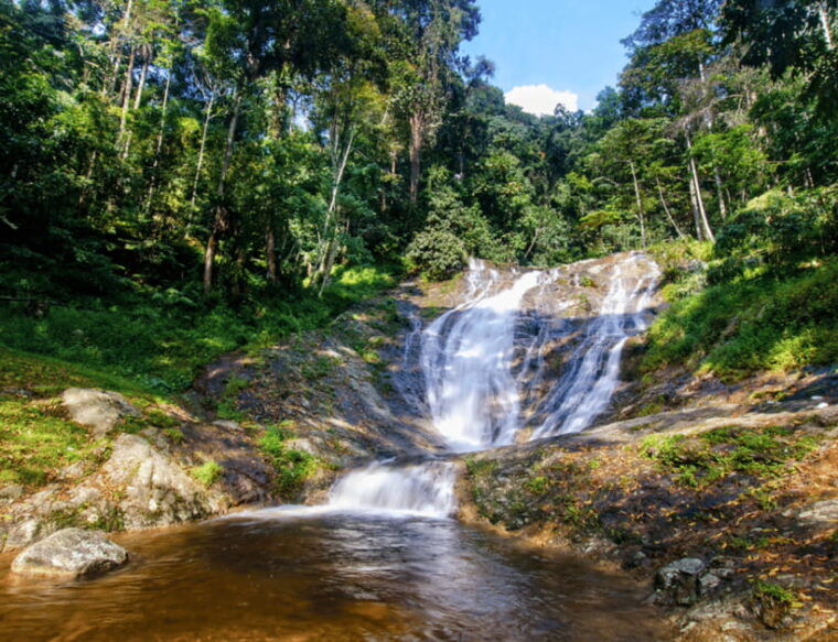 kuala-lumpur-customize-your-cameron-highlands-itinerary