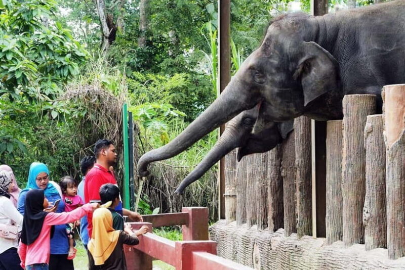 Kuala Lumpur Day Tour: Batu Caves & Elephant Sanctuary - Key Points