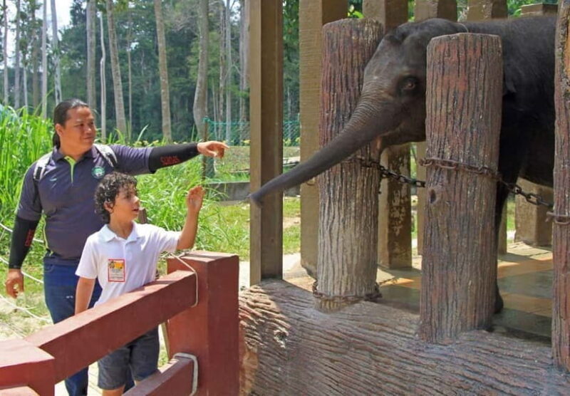 Kuala Lumpur Day Tour: Batu Caves & Elephant Sanctuary - Practical Details and Comfort